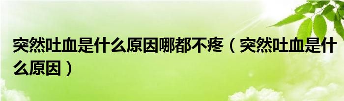 突然吐血是什么原因哪都不疼（突然吐血是什么原因）