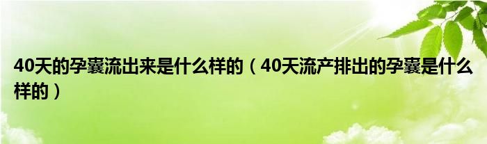 40天的孕囊流出來(lái)是什么樣的（40天流產(chǎn)排出的孕囊是什么樣的）