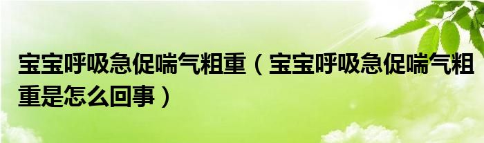 寶寶呼吸急促喘氣粗重（寶寶呼吸急促喘氣粗重是怎么回事）