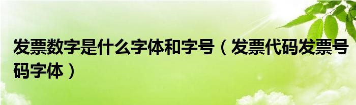 發(fā)票數(shù)字是什么字體和字號(hào)（發(fā)票代碼發(fā)票號(hào)碼字體）