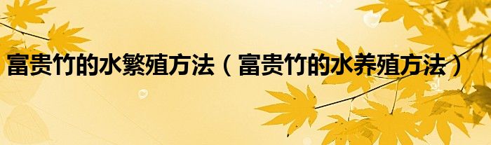 富貴竹的水繁殖方法（富貴竹的水養(yǎng)殖方法）