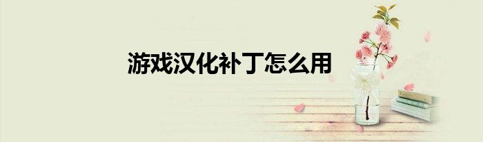 游戲漢化補丁怎么用