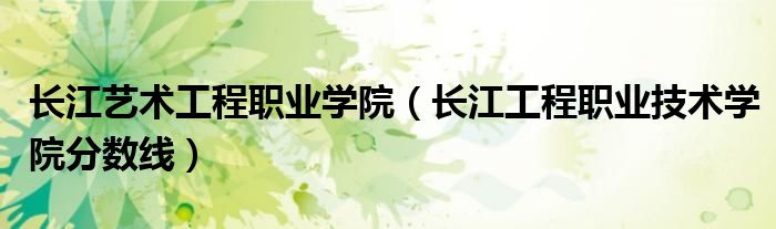 長江藝術(shù)工程職業(yè)學(xué)院（長江工程職業(yè)技術(shù)學(xué)院分?jǐn)?shù)線）