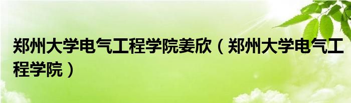鄭州大學(xué)電氣工程學(xué)院姜欣（鄭州大學(xué)電氣工程學(xué)院）