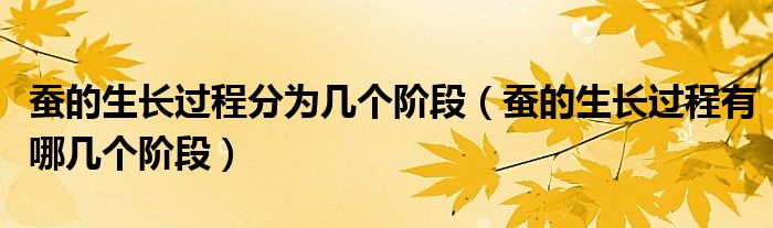 蠶的生長(zhǎng)過(guò)程分為幾個(gè)階段（蠶的生長(zhǎng)過(guò)程有哪幾個(gè)階段）