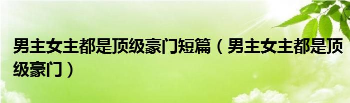 男主女主都是頂級(jí)豪門(mén)短篇（男主女主都是頂級(jí)豪門(mén)）