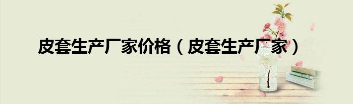 皮套生產(chǎn)廠家價格（皮套生產(chǎn)廠家）