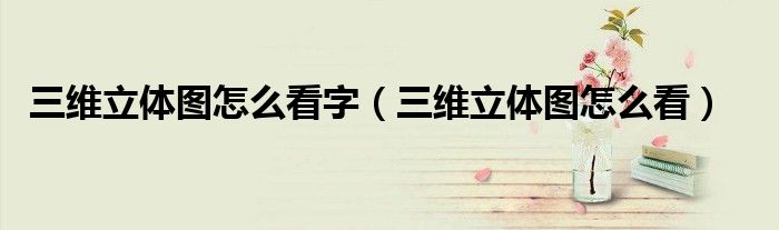 三維立體圖怎么看字（三維立體圖怎么看）