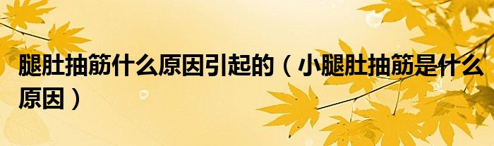 腿肚抽筋什么原因引起的（小腿肚抽筋是什么原因）