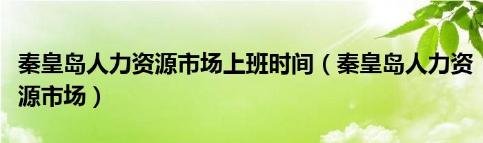 秦皇島人力資源市場上班時間（秦皇島人力資源市場）