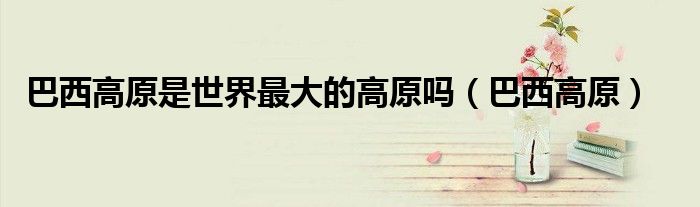 巴西高原是世界最大的高原嗎（巴西高原）