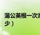 蒲公英根一次泡多少為宜（蒲公英根一次泡多少）