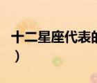 十二星座代表的動物花（十二星座代表的動物）