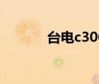 臺(tái)電c300處理器（臺(tái)電c300）