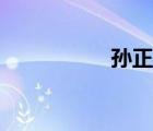 孫正平簡歷（孫正平）
