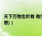 天下萬物生於有 有生於無（天下萬物生于有 有生于無 (的意思)）