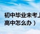 初中畢業(yè)未考上高中怎么辦（初中畢業(yè)沒考上高中怎么辦）