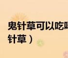 鬼針草可以吃嗎?怎么吃?（哪些人不可以吃鬼針草）
