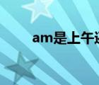 am是上午還是下午（m4n78 am）