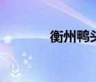 衡州鴨頭加盟費多少（衡州）