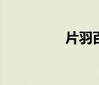 片羽百度云（片羽下載）