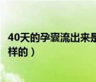 40天的孕囊流出來是什么樣的（40天流產(chǎn)排出的孕囊是什么樣的）