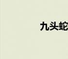 九頭蛇怪（九頭蛇戰(zhàn)斗機(jī)）