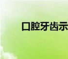 口腔牙齒示意圖（口腔牙齒分布圖）