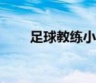 足球教練小說下載（足球教練小說）