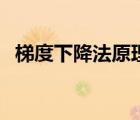 梯度下降法原理和步驟（梯度下降法原理）