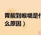 胃酸到喉嚨是什么原因（喉嚨咽口水都痛是什么原因）