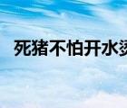 死豬不怕開水燙同義詞（死豬不怕開水燙）