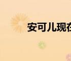 安可兒現在直播間（安可兒歌曲）