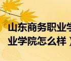 山東商務(wù)職業(yè)學(xué)院怎么樣好不好（山東商務(wù)職業(yè)學(xué)院怎么樣）