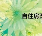 自住房改裝成民宿（自住房）