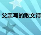 父親寫的散文詩許飛吉他譜（春天里吉他譜）