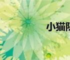 小貓隊(duì)的老歌（小貓隊(duì)）