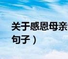 關(guān)于感恩母親的句子50字（關(guān)于感恩母親的句子）