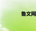 魯文網(wǎng)方案下載（魯文網(wǎng)）
