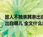 故人不獨(dú)親其親出自哪里（ldquo 故人不獨(dú)親其親 rdquo 出自哪兒 全文什么意思）