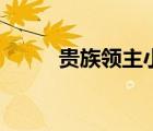 貴族領(lǐng)主小說(shuō)（貴族領(lǐng)主類小說(shuō)）