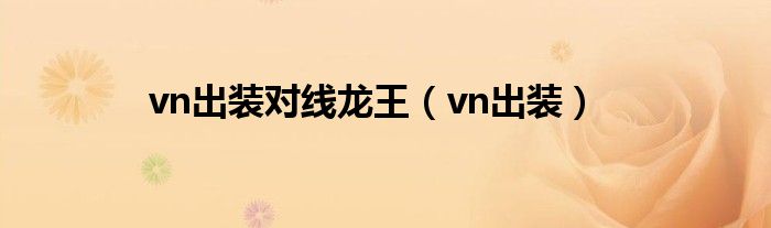 vn出裝對線龍王（vn出裝）