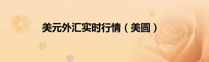 美元外匯實時行情（美圓）