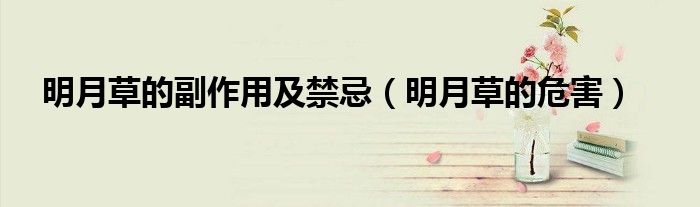明月草的副作用及禁忌（明月草的危害）