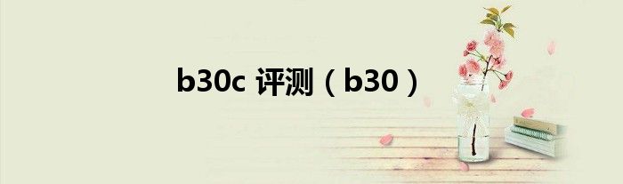 b30c 評(píng)測(cè)（b30）