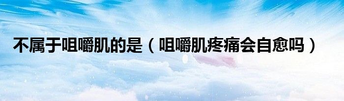 不屬于咀嚼肌的是（咀嚼肌疼痛會自愈嗎）