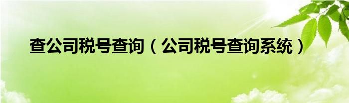 查公司稅號(hào)查詢（公司稅號(hào)查詢系統(tǒng)）