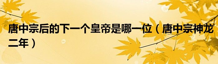 唐中宗后的下一個(gè)皇帝是哪一位（唐中宗神龍二年）