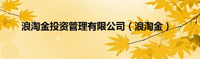 浪淘金投資管理有限公司（浪淘金）