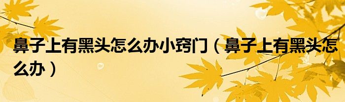 鼻子上有黑頭怎么辦小竅門（鼻子上有黑頭怎么辦）